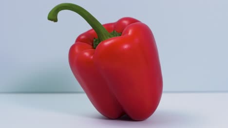 red fresh sweet bell pepper rotates on a light blue background, healthy food, concept, closeup shot camera rotate left