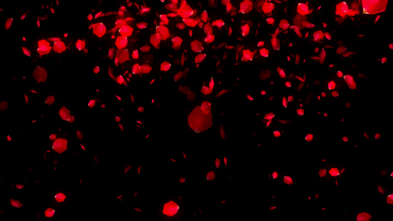 검은 바탕에 떨어지는 장미 잎자루