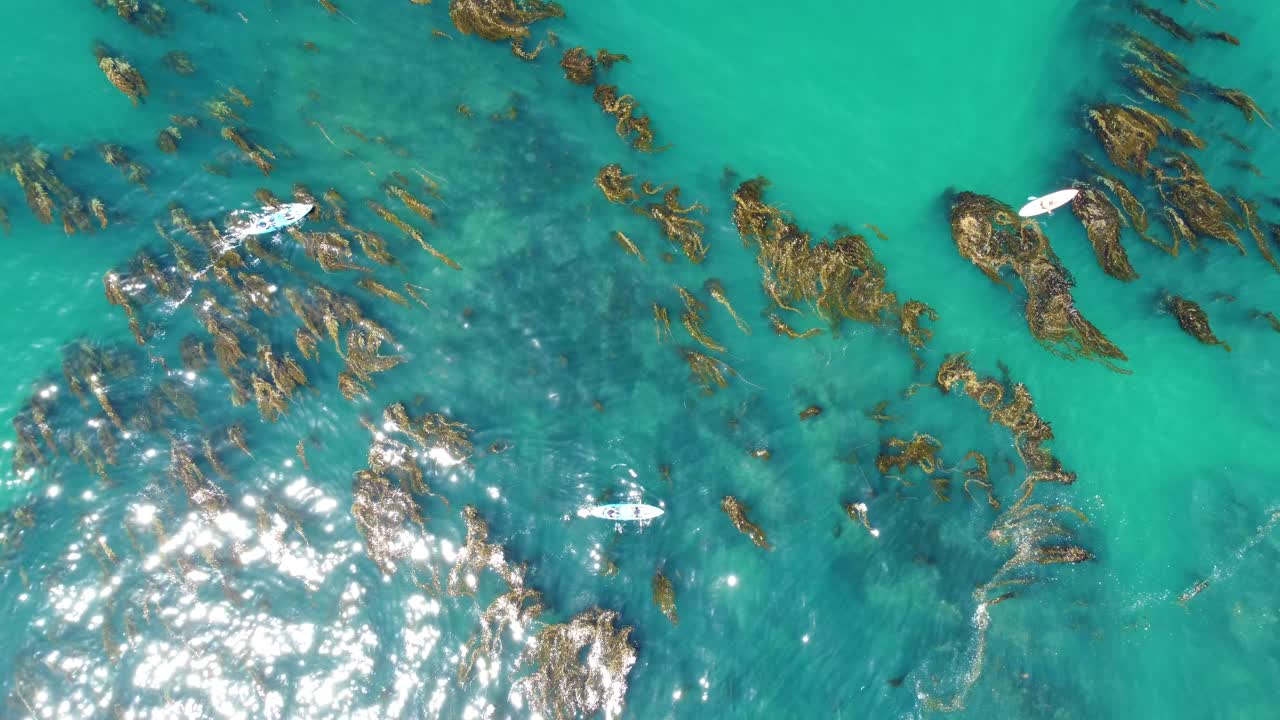 카약 라구나 비치, 오렌지 카운티. 공중 4k