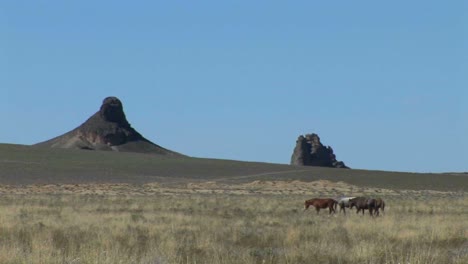 A-cliff-rises-above-Pueblo-Indian-dwellings-in-the-Mesa-Verde-National-Park-Colorado-2