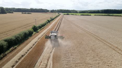 aerial footage of a combine harvester harvesting a wheat crop