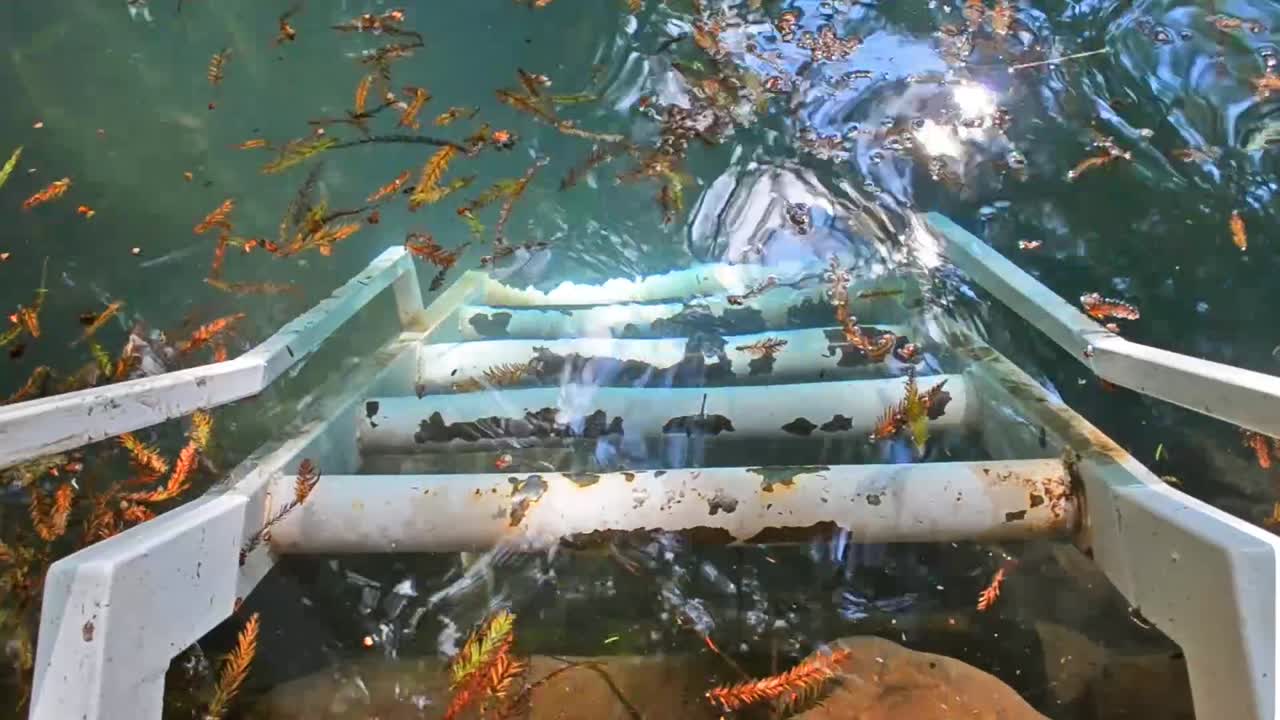 호수 물에 계단 아래로