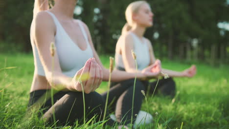 Nahaufnahme-Von-Zwei-Schönen-Blonden-Sportlerinnen,-Die-In-Meditation-Im-Park-Auf-Gras-Sitzen