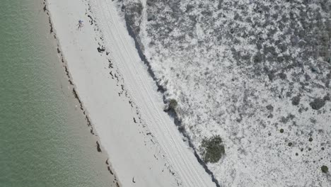 aerial-view-of-a-beach-adorned-with-lush-vegetation-in-the-Alentejo-region-of-Portugal,-epitomizing-the-coastal-beauty-and-natural-allure-of-the-area