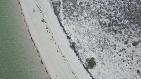 vista aérea de una playa adornada con exuberante vegetación en la región de alentejo en portugal, que resume la belleza costera y el encanto natural de la zona