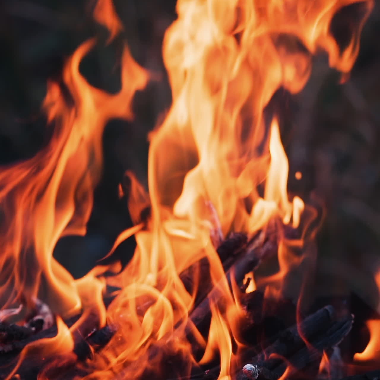 Vivid tongues of fire close-up. Orange background of the fire. Beautiful fire burns brightly. Slow motion.