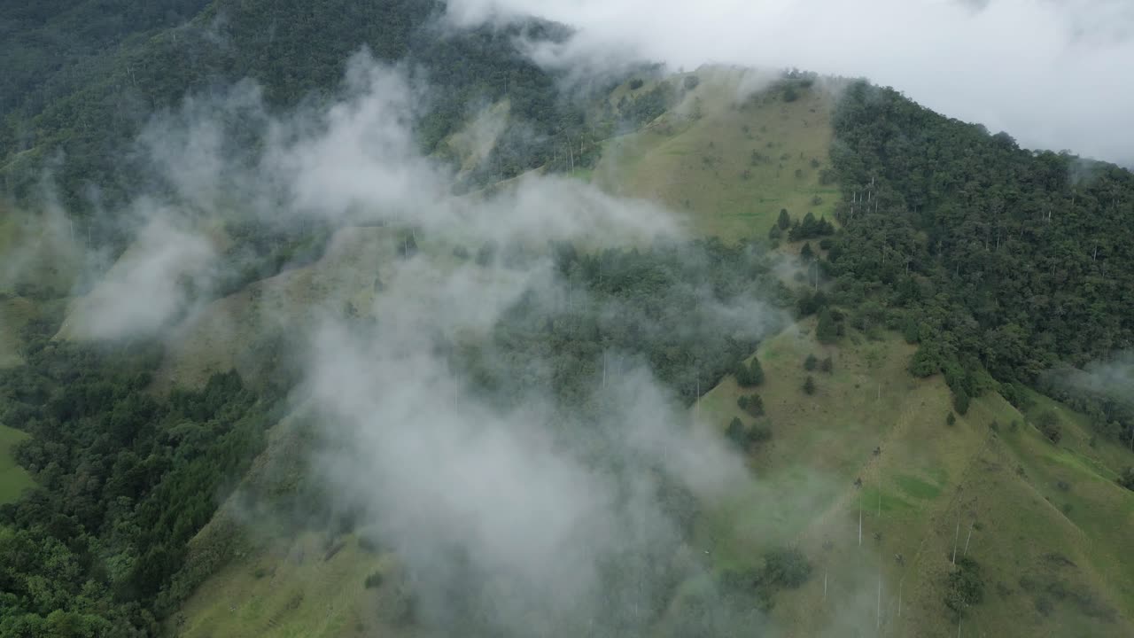 volando sobre el valle de cocora, rito de paso de salento colombia, visión aérea de drones de las montañas andinas, bosque nuboso de altura