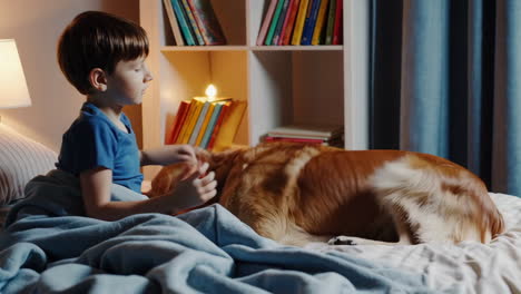 boy and golden retriever dog bonding in bed