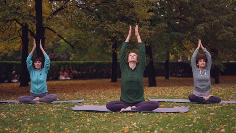 women practicing yoga in an autumn park