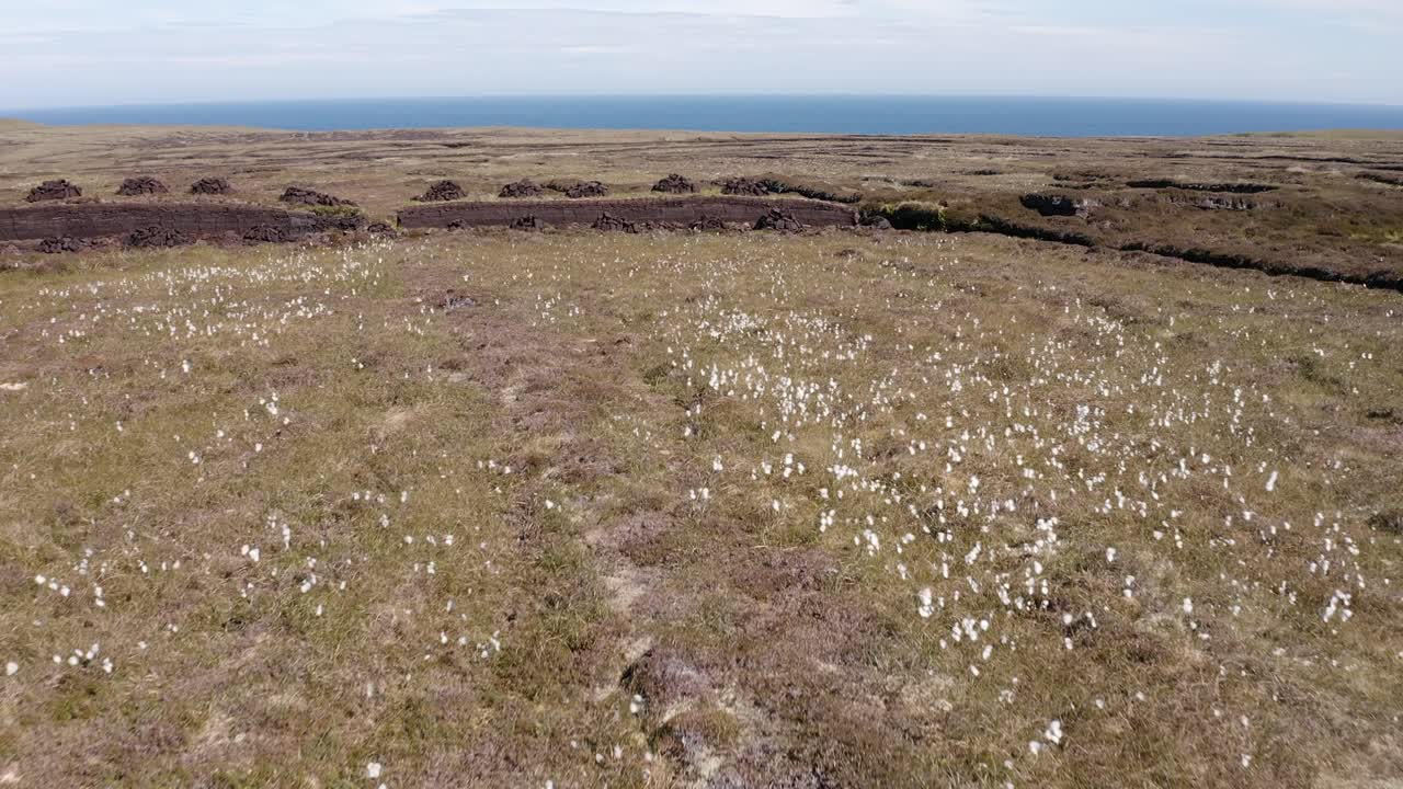 toma de un dron de una tierra de turba con montones de turba cortada rodeada de hierba de algodón común