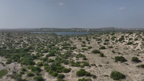 Filmische-Drohnenaufnahme-Des-Botar-Sees-Mit-Sanddünen-Und-Wildpflanzen-In-Pakistan