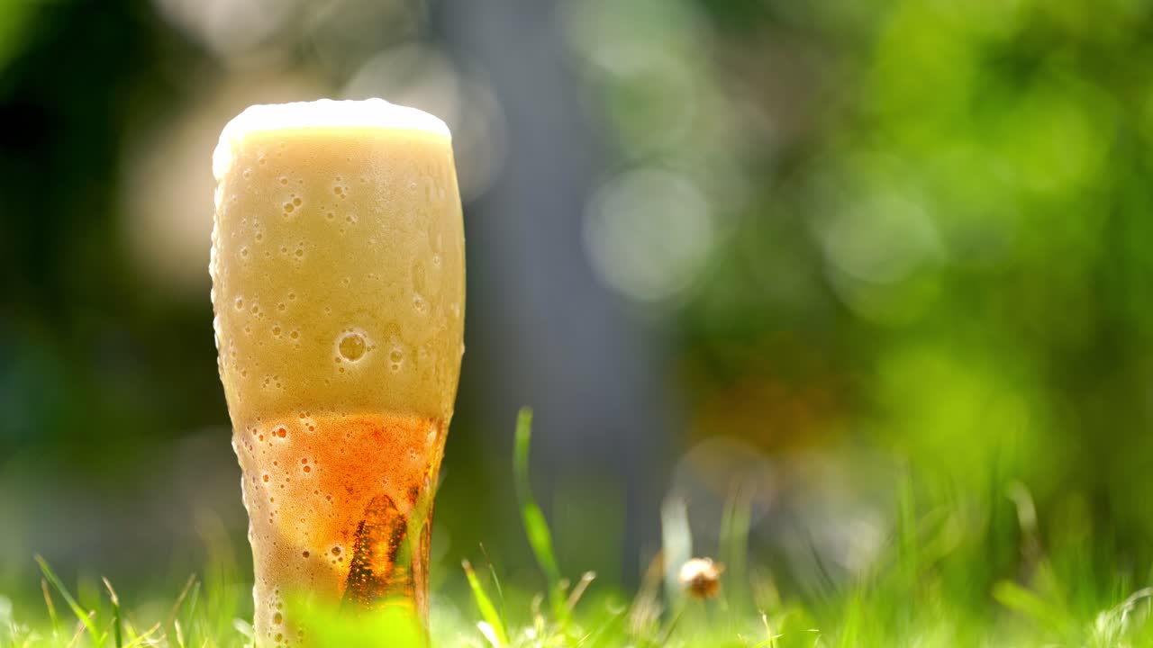 White foam from fresh beer is pouring over the glass outdoors. Full glass of cold beer with foam stands on green grass in summer. Close-up.