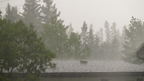 hail and rain storm on rooftop of house with trees in background