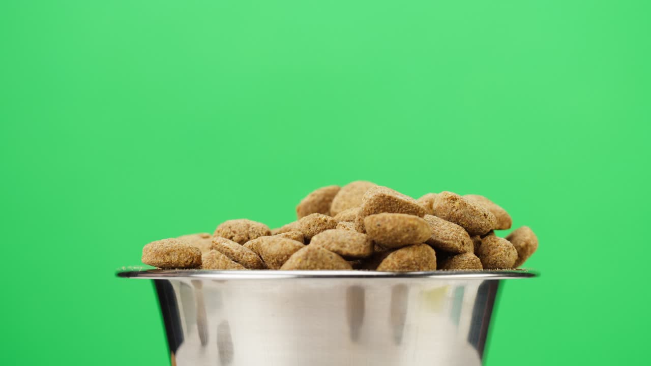 verter comida seca para perros en un cuenco de metal de primer plano. gránulos que caen en un plato sobre un fondo verde. alimentar animales domésticos, golosinas para cachorros. comida crujiente para gatos de pedigrí. tienda de mascotas y entrega