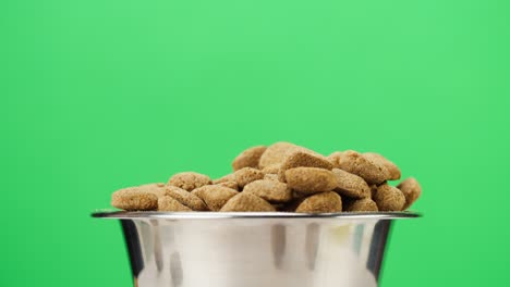 pouring dry dog food into metal bowl close-up. granules falling into dish on green background. feeding domestic animals, treats for puppies. crunchy meal for pedigree cats. pet shop and delivery