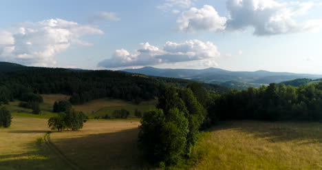 Aerialof-Schönen-Grünen-Wald-In-Einer-Ländlichen-Landschaft-4