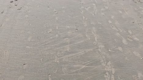 a person in black shoes walks on wet sand, leaving footprints among animal tracks under bright natural daylight. handheld, downward-facing camera movement