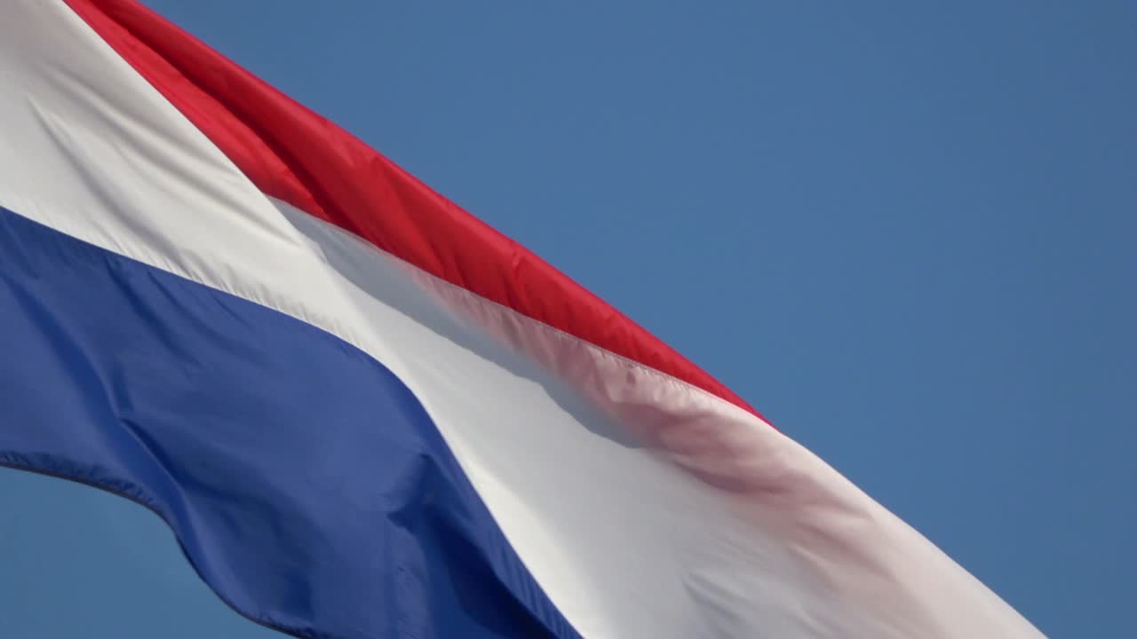 크로아티아의 아름다운 발이 바람에 흔들리고, 삼색 발도 불고 있다.