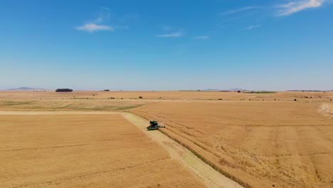 Un-Fascinante-Dron-Baila-Alrededor-De-Una-Trabajadora-Cosechadora-Mientras-Conquista-Los-Vastos-Campos-Dorados