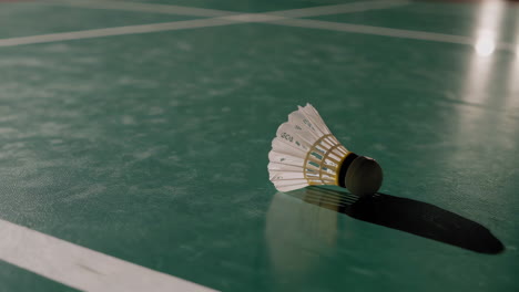 badminton shuttlecock on court