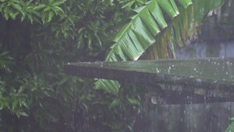 in the rainy season, eastern india receives heavy rainfall during the rainy season