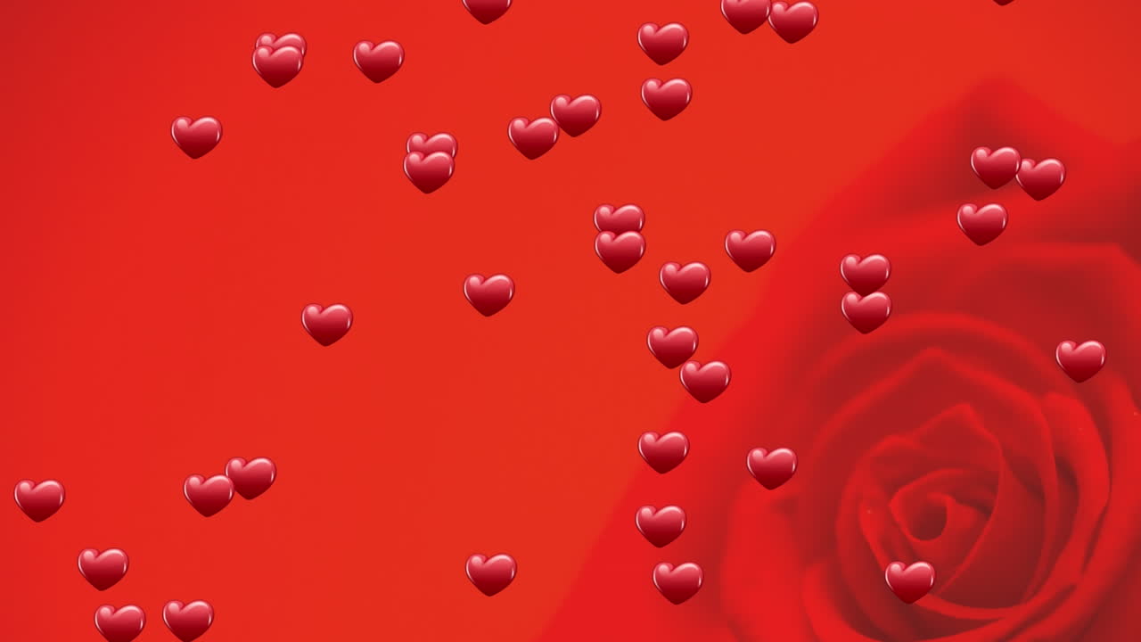 빨간 바탕에 장미 위에 떠다니는 심장의 애니메이션