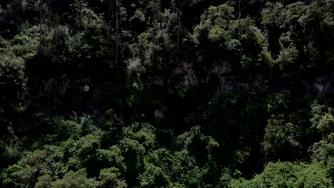 Clip-De-Una-Pared-De-Un-Encañonado-En-El-Altiplano-Ecuatoriano.