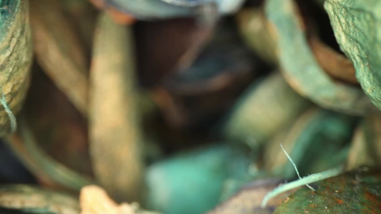 꽃병에서 움직이는 다채로운 포푸리 조각의 가장자리에 얕은 초점