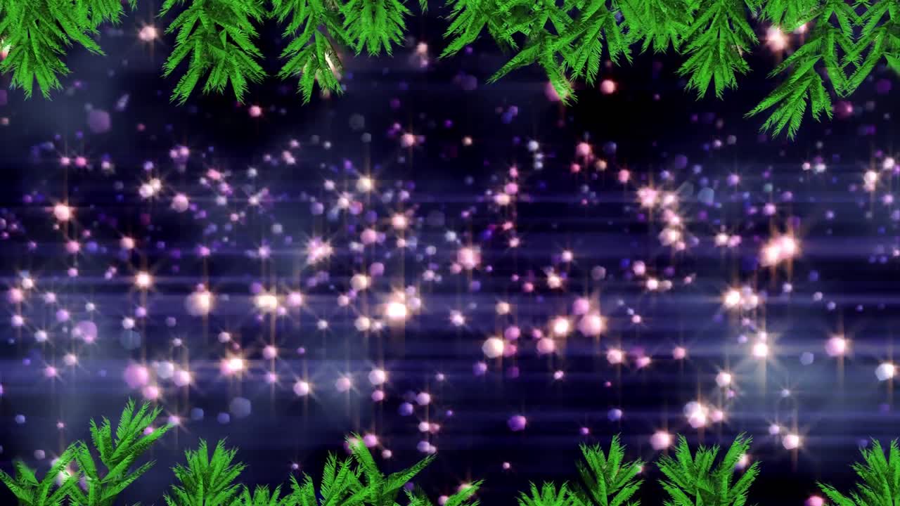 크리스마스 나무 가지가 푸른 배경에 떠다니는 빛의 반점 위에