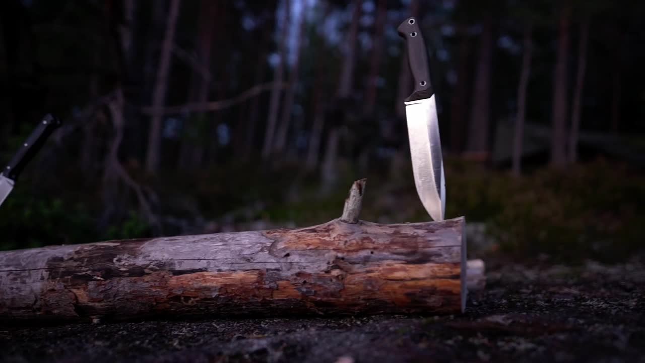Bushcraft knives stuck in wood, in the evening