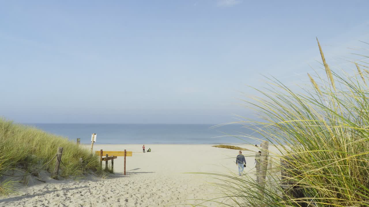 Wide sandy path lined with grass leading to a wide beach with a few people relaxing