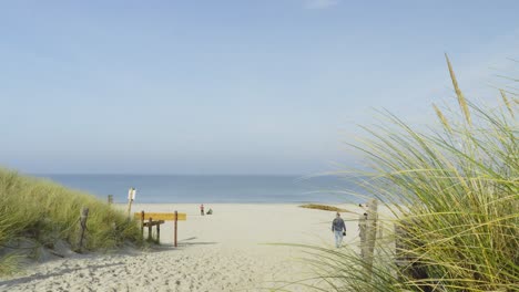 wide sandy path lined with grass leading to a wide beach with a few people relaxing