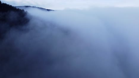 stimmungsvoller luftgebirgswald in wolken und nebel, langsamer, entspannender flug