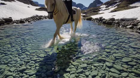 horse riding in a mountain stream