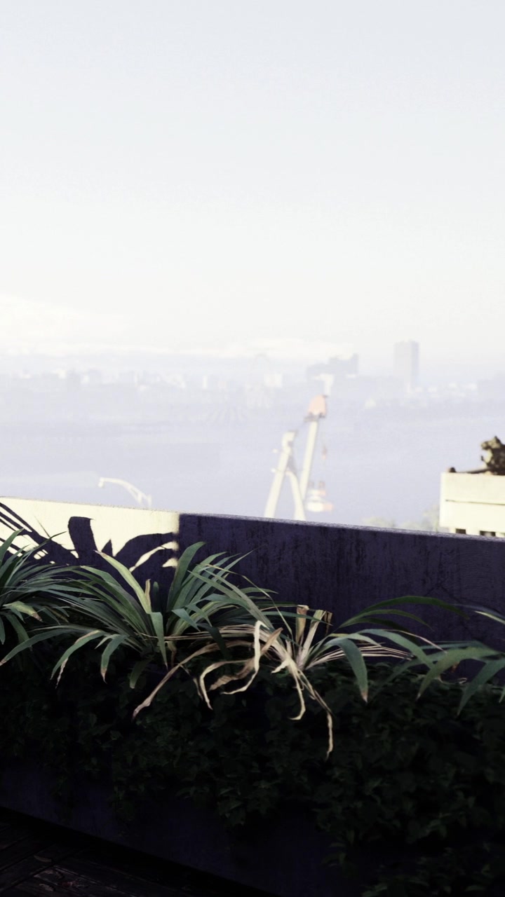 Vista da un tetto di città con piante e uno skyline distante di giorno.
