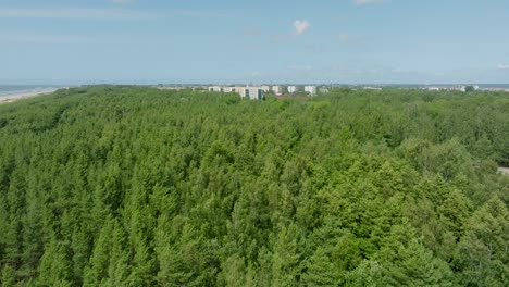 vista aérea del distrito residencial lleno de edificios de apartamentos en un soleado día de verano, casas renovadas y aisladas, paredes coloridas de la fachada, árboles verdes, disparo de avión no tripulado avanzando