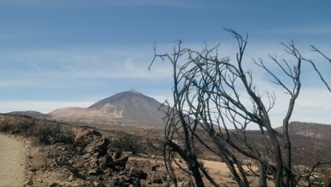 burned desert devastating by fire in spain, burnt landscape