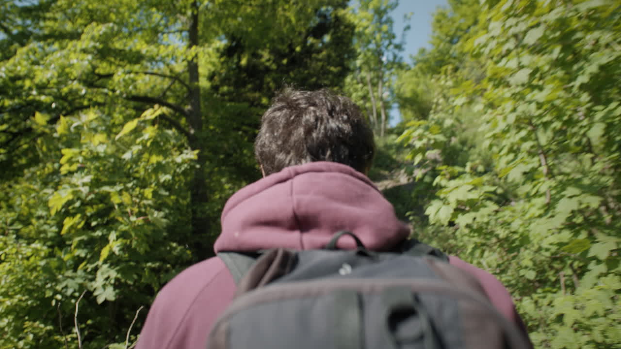 камера следит сзади за молодым туристом, идущим в гору по каменистой тропе среди зеленых деревьев