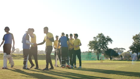 Cricket players shaking hands on field, celebrating teamwork and sportsmanship