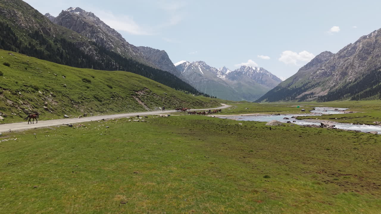 Herd Of Horses Running Along A Mountain River In Naryn Province, Kyrgyzstan. Aerial Drone Shot