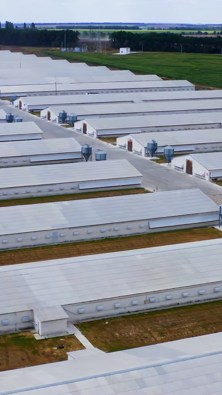 Modern farm surrounded by green nature. White agricultural buildings for livestock on field. Slow flight over white farm houses on a meadow. Vertical video