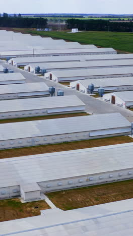 modern farm surrounded by green nature. white agricultural buildings for livestock on field. slow flight over white farm houses on a meadow. vertical video