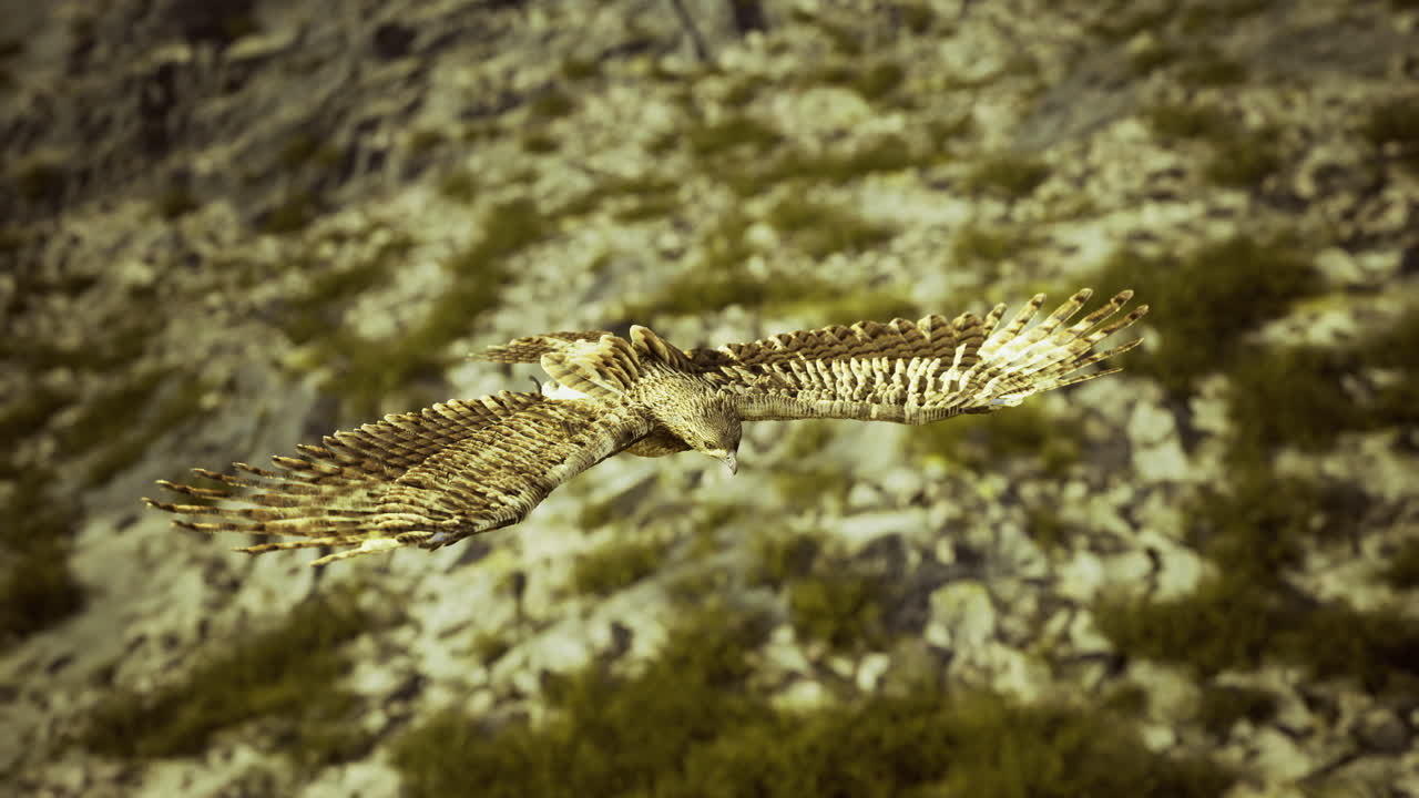 Majestic hawk soaring above rugged mountain terrain during golden hour
