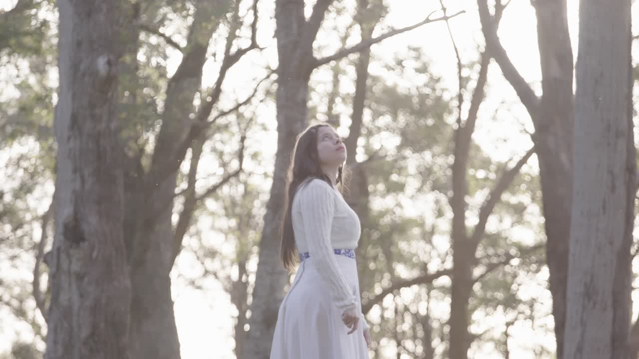 Elegant woman stands amidst tall trees in a tranquil forest. Soft natural light creates a peaceful atmosphere, highlighting her white dress against the earthy backdrop. Mid-range shot