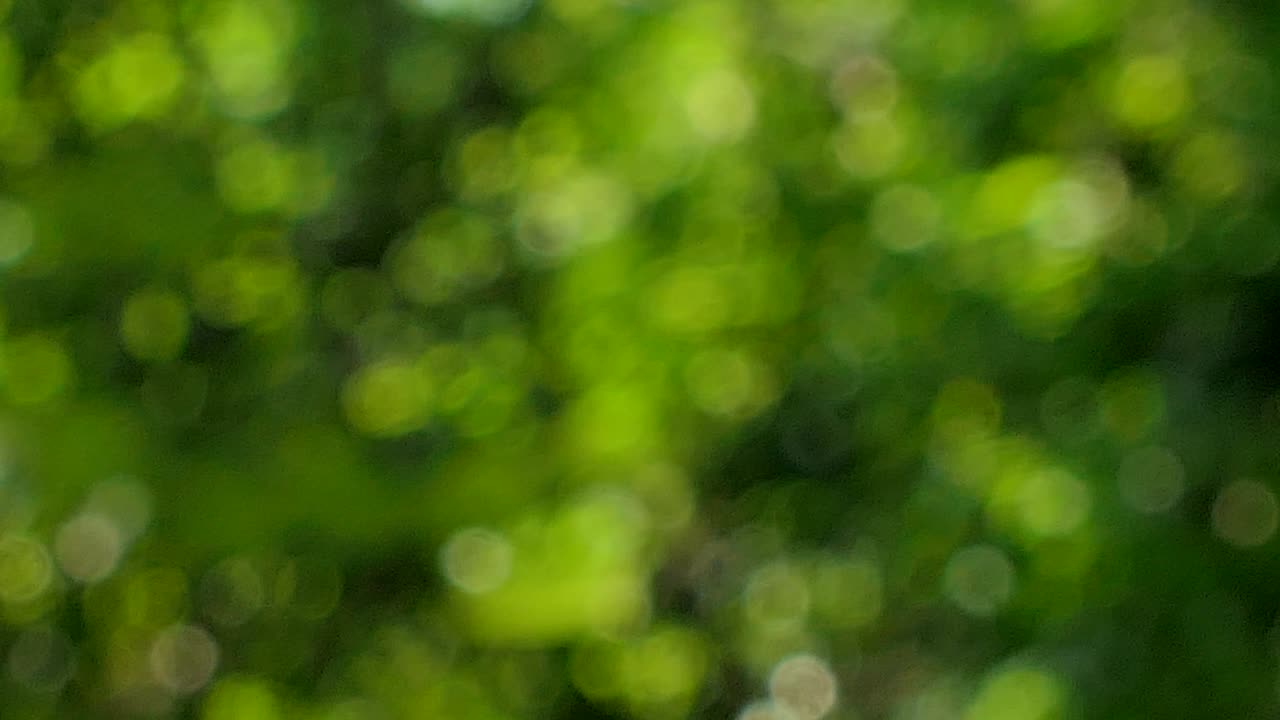 фон природы размытый абстрактный.