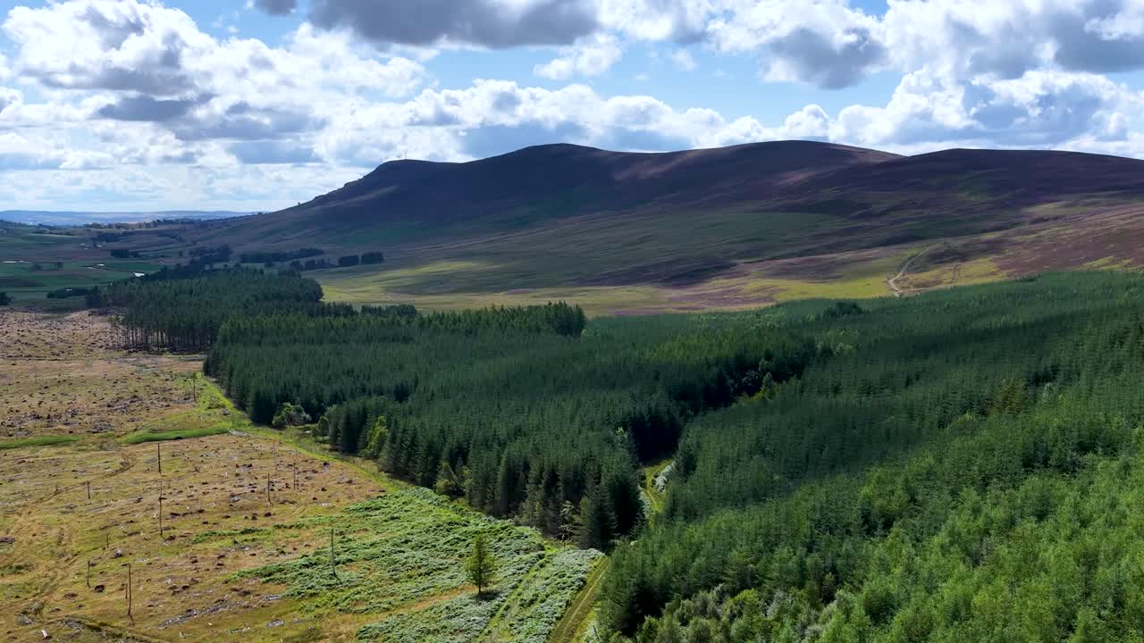 Drone glides above dense green forest, revealing expansive valley and rolling Highlands under daylight