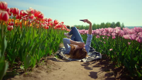 blossomed tulip filed in spring girl looking at mobile phone screen in sunny day