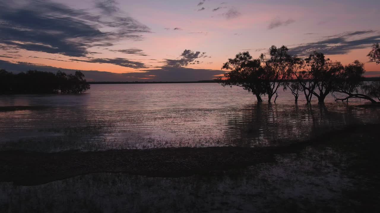Drone shot, track left, Mangroves in the lake reflecting the sunset glow