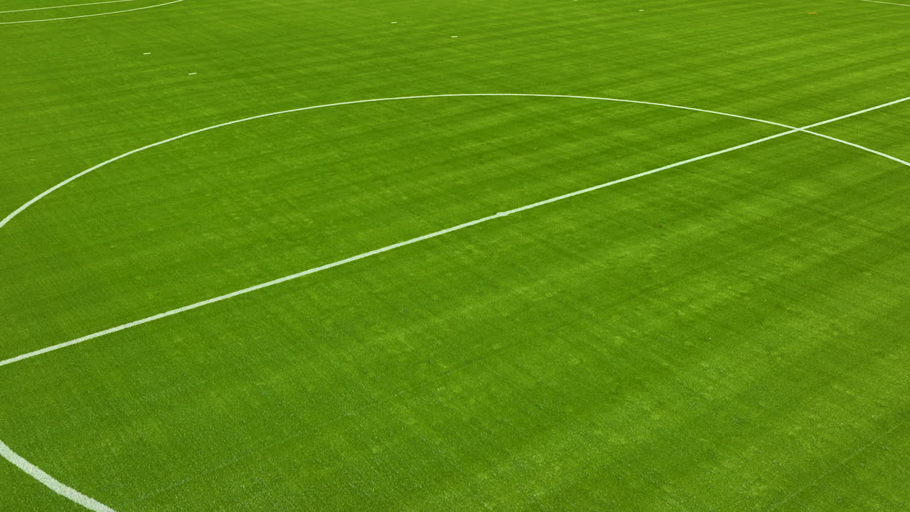 울창 한 초록색 축구장 의 일부 의 근접, 낮은 각도 공중 사진