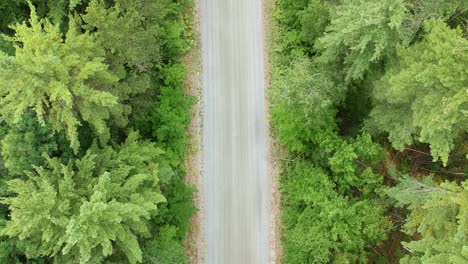 drone reveal shot of top down angle of an atv or four wheeler driving on a dirt road surrounded by green pines trees in a forest located in rural canada